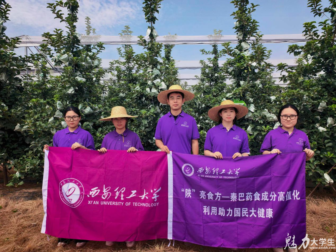 厚土之上,读懂科技兴农——西安理工大学实践队走进铜川探寻苹果“中国根”行